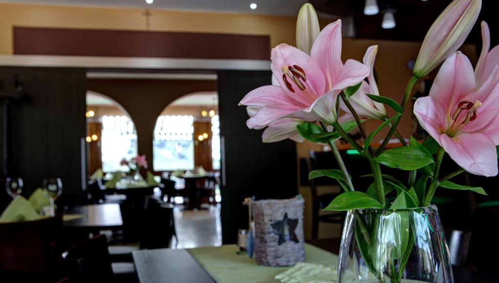Hotel Restaurant Moselblick Wintrich Exterior photo
